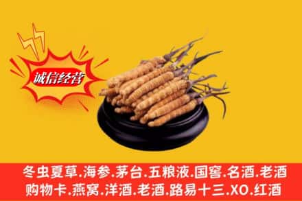 洛阳吉利区高价上门回收虫草多少钱每克